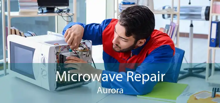 Microwave Repair Aurora